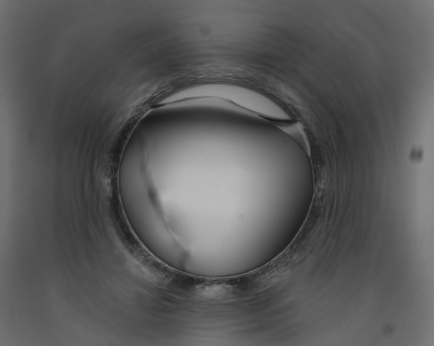 X0000091990452200710041133