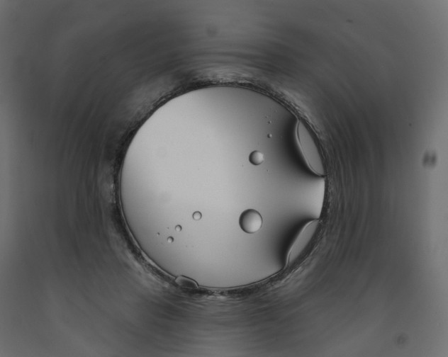 X0000091990453200710041133