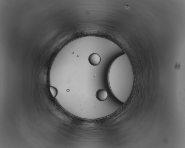 X0000091990454200710041133