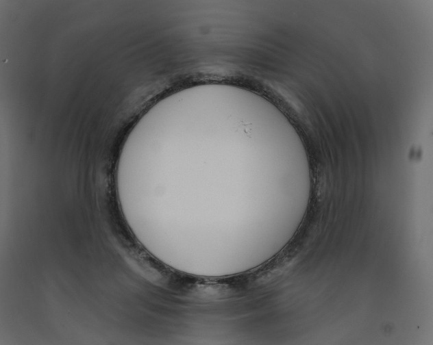 X0000091990455200710041133