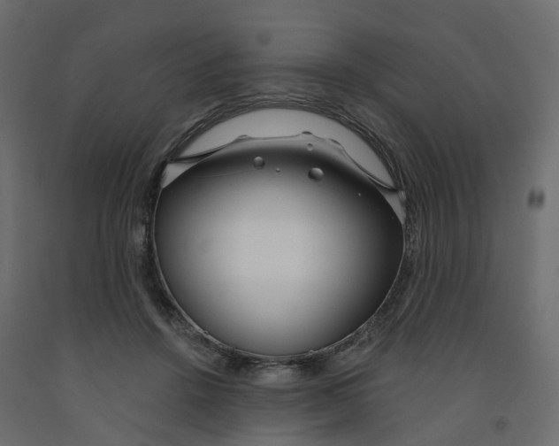 X0000091990456200710041133