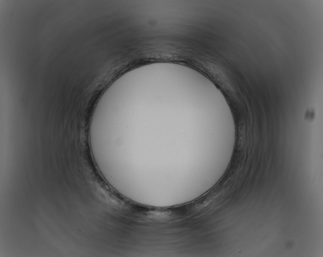 X0000091990457200710041133