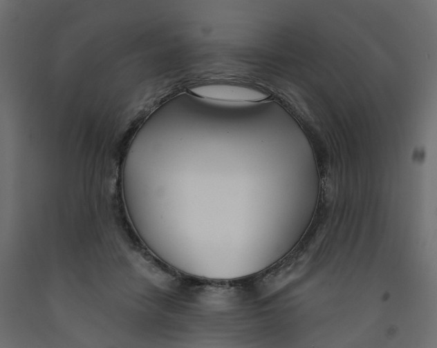 X0000091990458200710041133