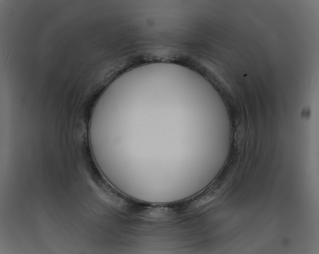 X0000091990459200710041133