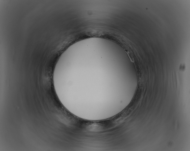 X0000091990460200710041133