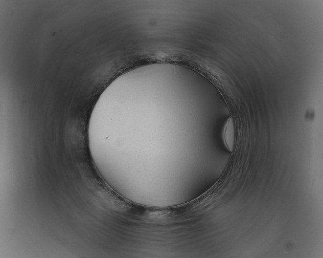 X0000091990461200710041133