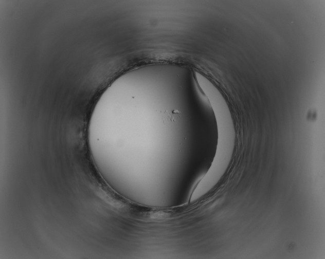 X0000091990462200710041133
