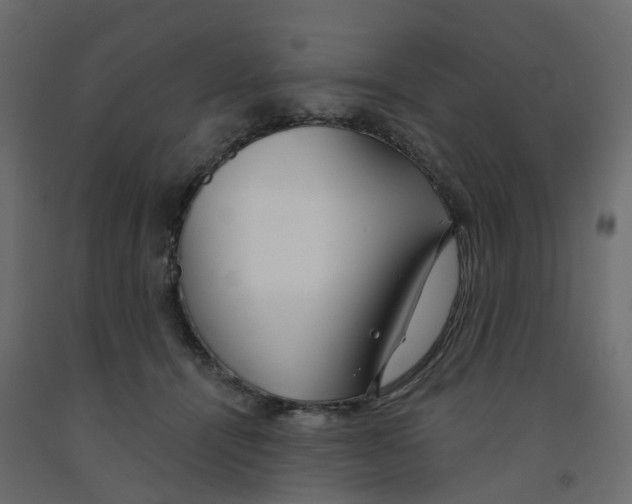 X0000091990464200710041133