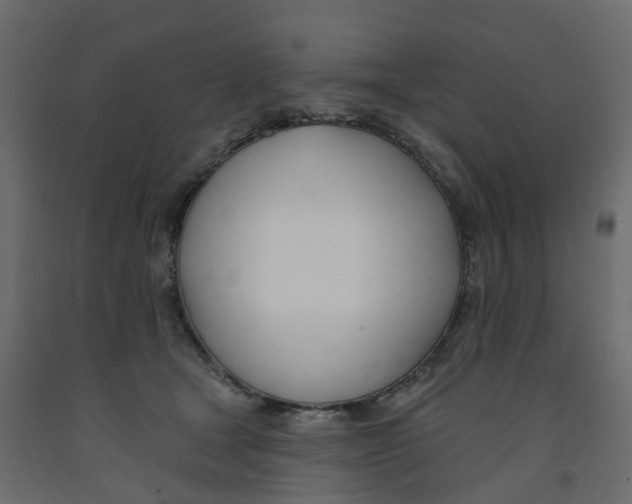 X0000091990465200710041133