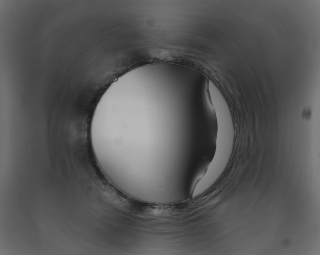 X0000091990466200710041133