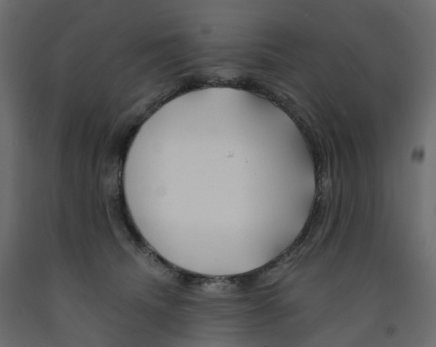 X0000091990468200710041133