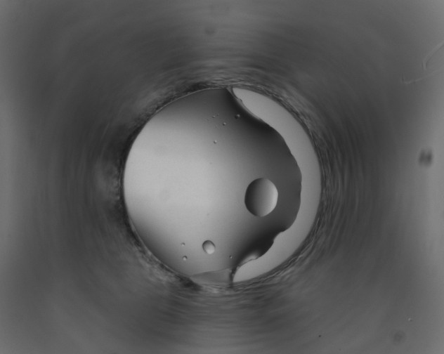 X0000091990469200710041133