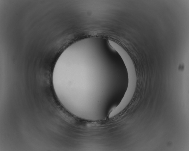 X0000091990470200710041133