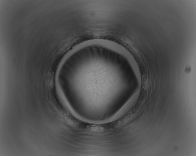 X0000091990471200710041133