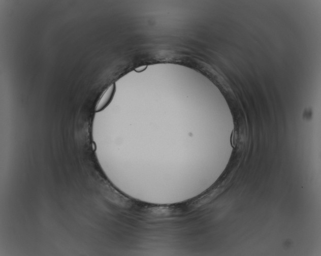 X0000091990473200710041133