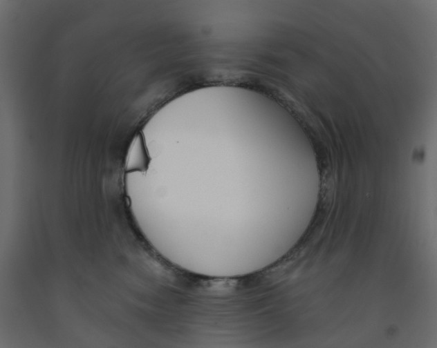 X0000091990474200710041133