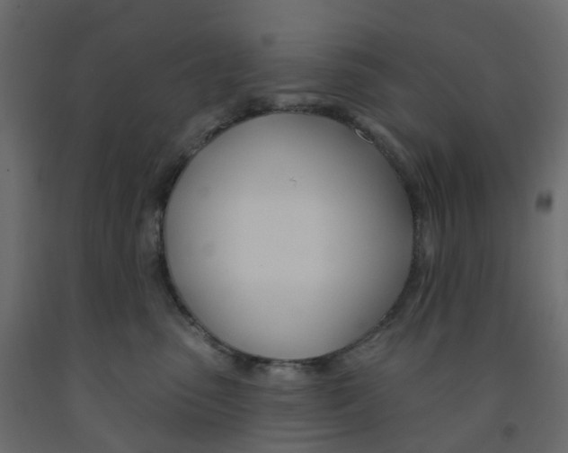 X0000091990475200710041133