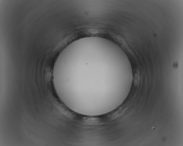 X0000091990476200710041133