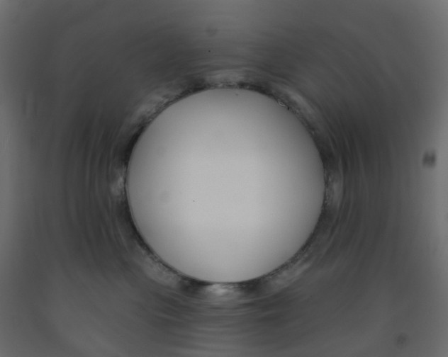 X0000091990477200710041133