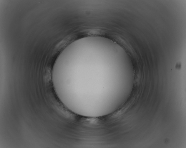 X0000091990478200710041133