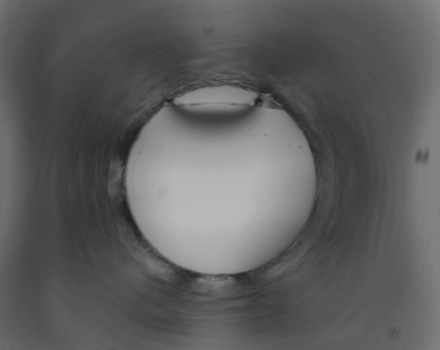 X0000091990480200710041133