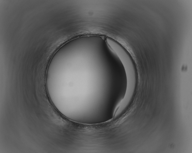 X0000091990481200710041133