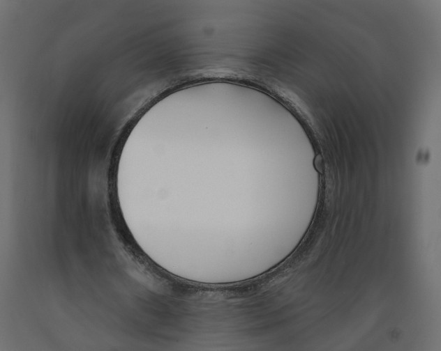 X0000091990482200710041133