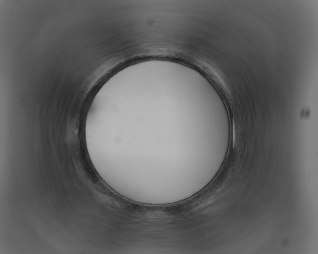 X0000091990483200710041133