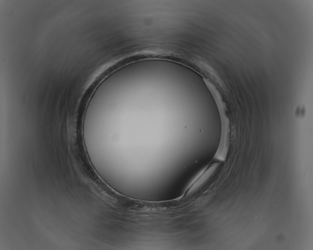 X0000091990484200710041133