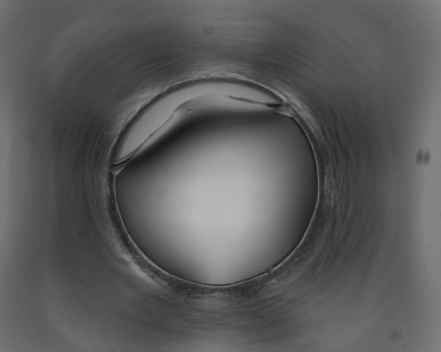 X0000091990485200710041133