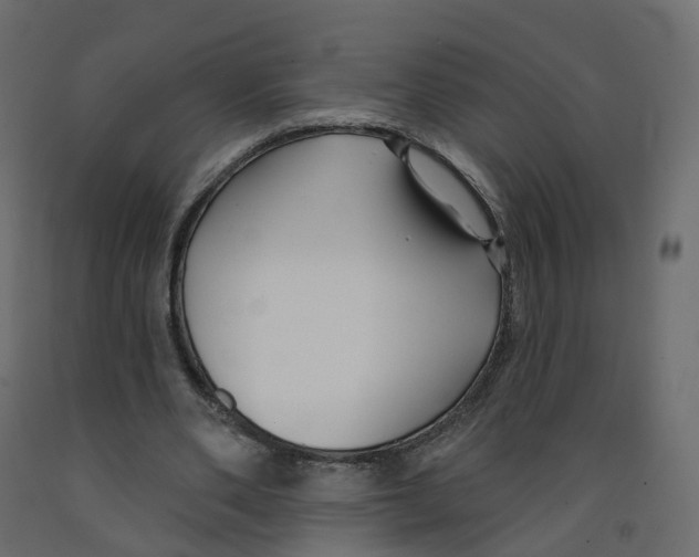 X0000091990486200710041133
