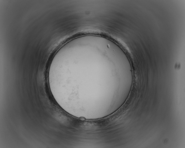 X0000091990487200710041133