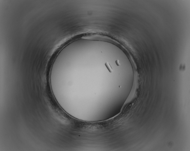 X0000091990488200710041133
