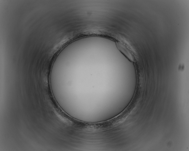 X0000091990489200710041133