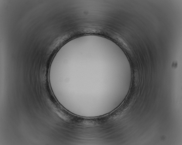 X0000091990490200710041133