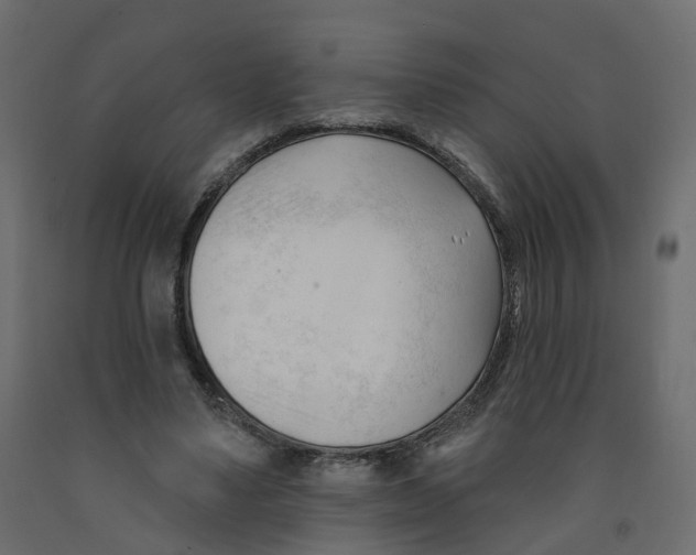 X0000091990491200710041133