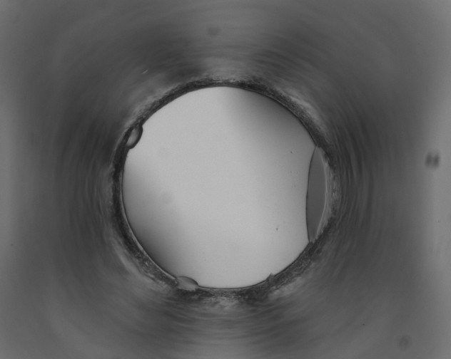 X0000091990492200710041133