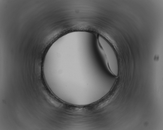 X0000091990493200710041133