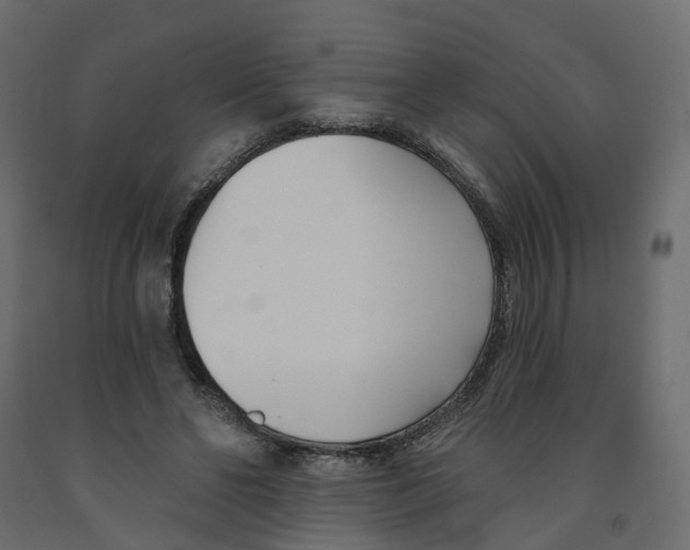 X0000091990494200710041133