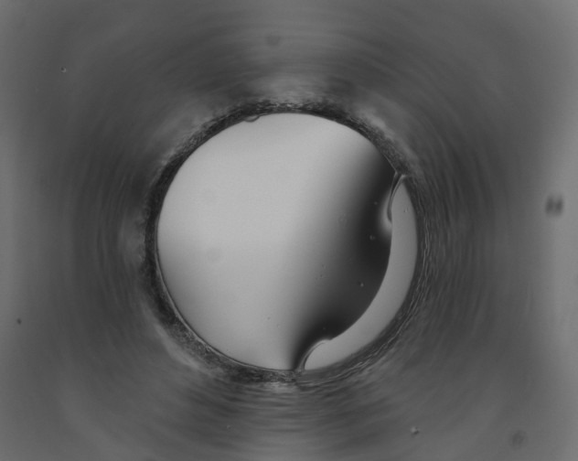X0000091990496200710041133