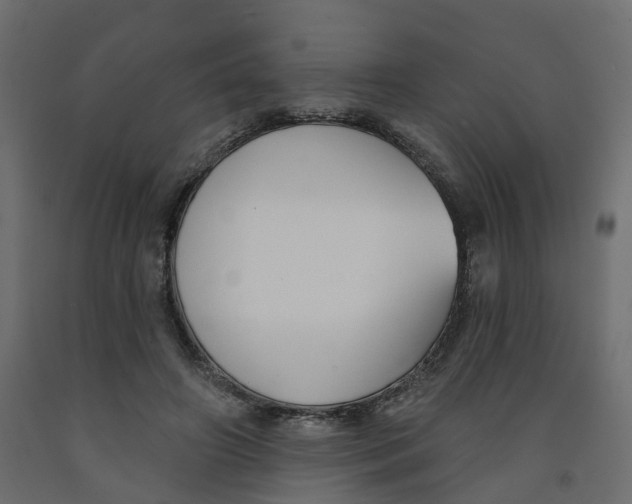 X0000091990498200710041133