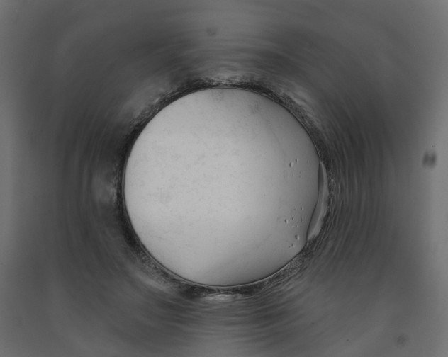 X0000091990499200710041133
