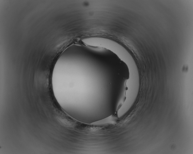 X0000091990501200710041133