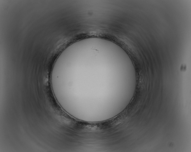 X0000091990502200710041133