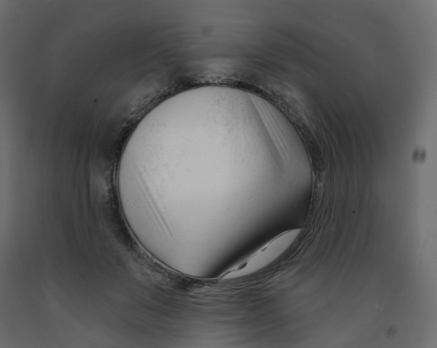 X0000091990503200710041133
