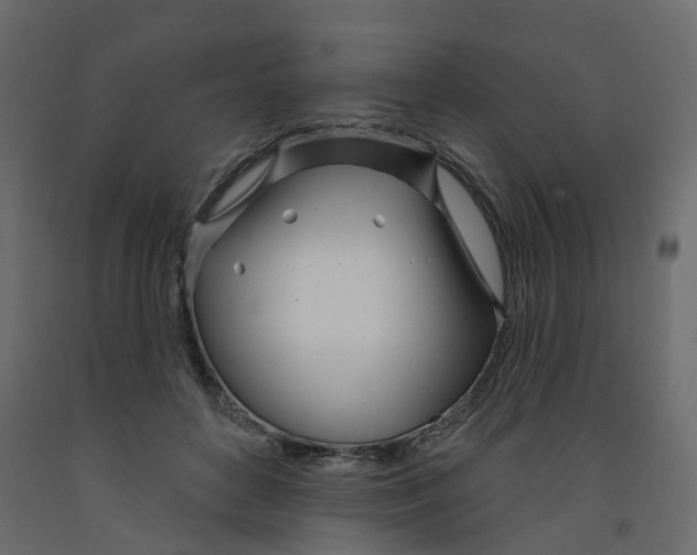 X0000091990504200710041133