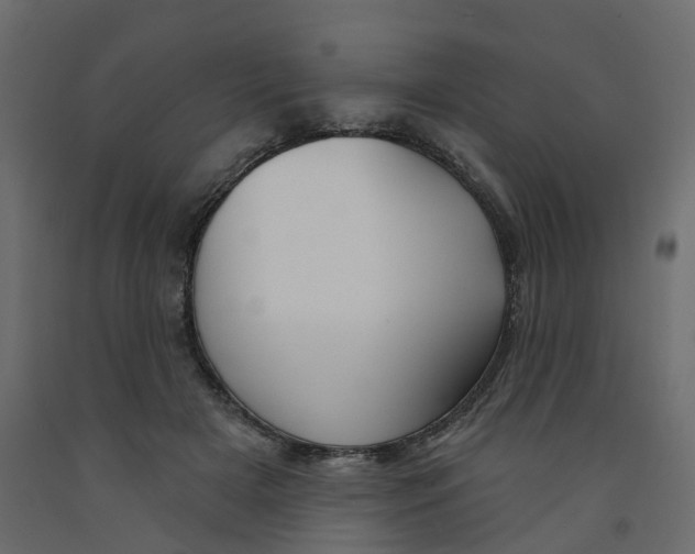 X0000091990505200710041133