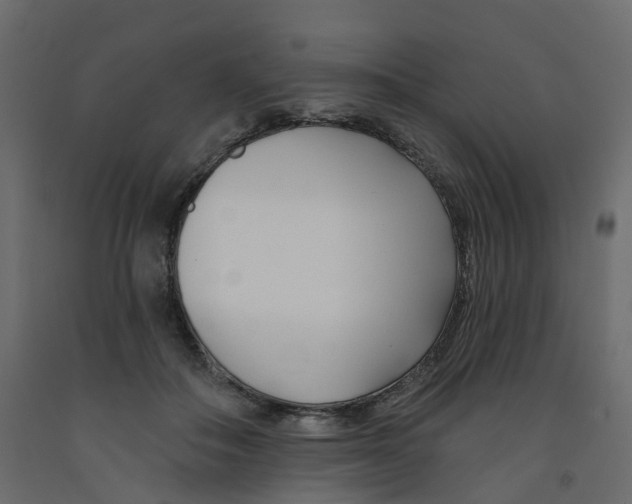 X0000091990506200710041132