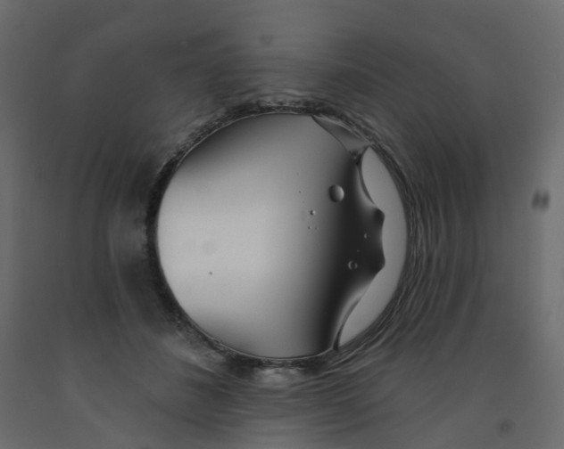X0000091990508200710041132