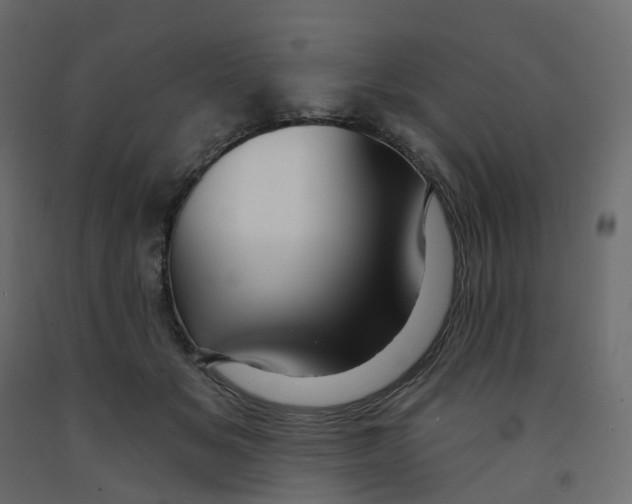X0000091990509200710041132